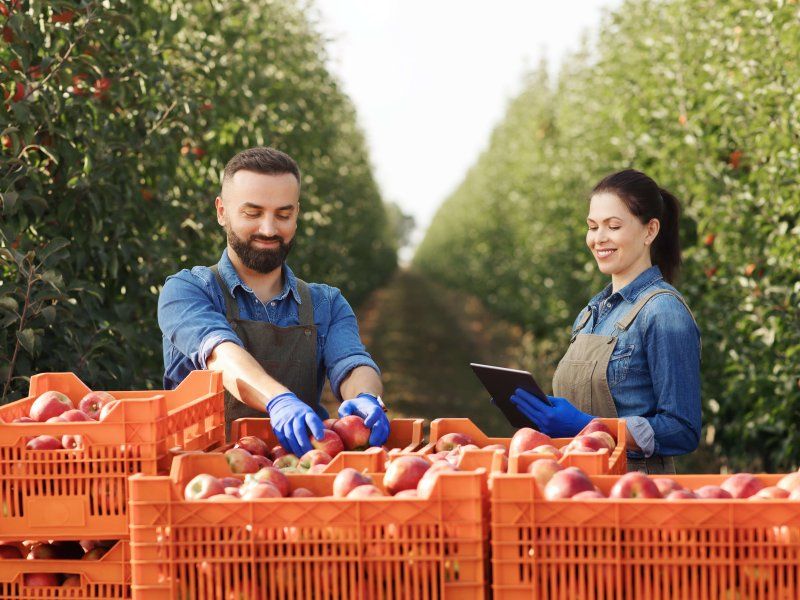 Handling living products